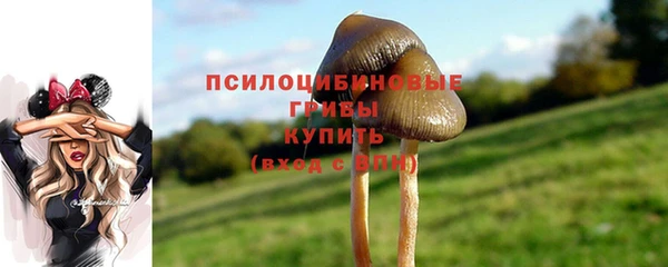 MESCALINE Алзамай