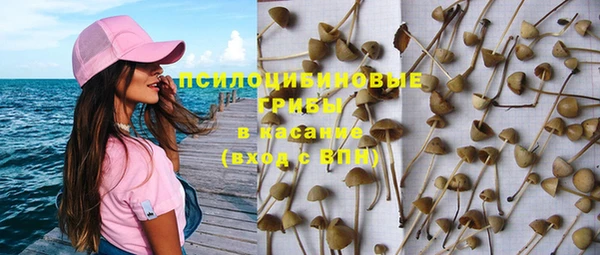 spice Аркадак