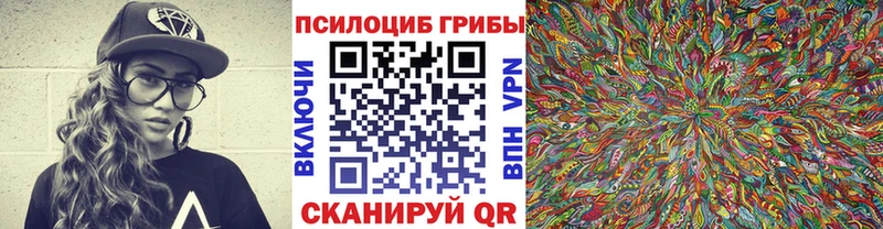 Купить закладки  Благодарный  Галлюциногенные грибы MAGIC MUSHROOMS 