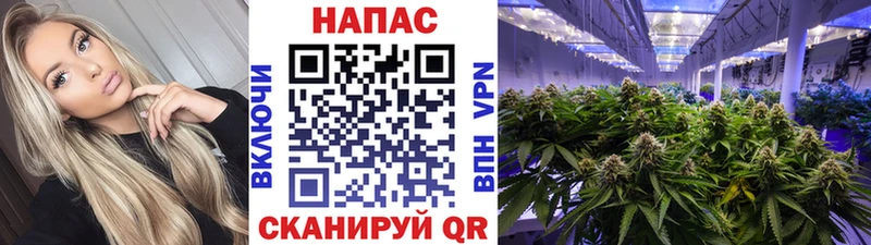 Купить  Благодарный  Канабис SATIVA & INDICA 